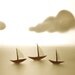 Reserved Sailing along together
