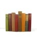 Instant Book Collection Fall Colors Decorative Books, Vintage Wedding Decor, Vintage Photography Prop