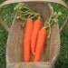 A Tisket...A Tasket...A Carrot for Your Basket- Crocheted Toy & Baby Rattle