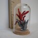 Dollhouse Red and Grey Coral Display Dome - One Inch Scale