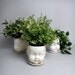 Porcelain Baby doll head planter /or candy dish - hairline crack