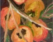 Persimmons SALE PENDING FOR amya925 until 11/8