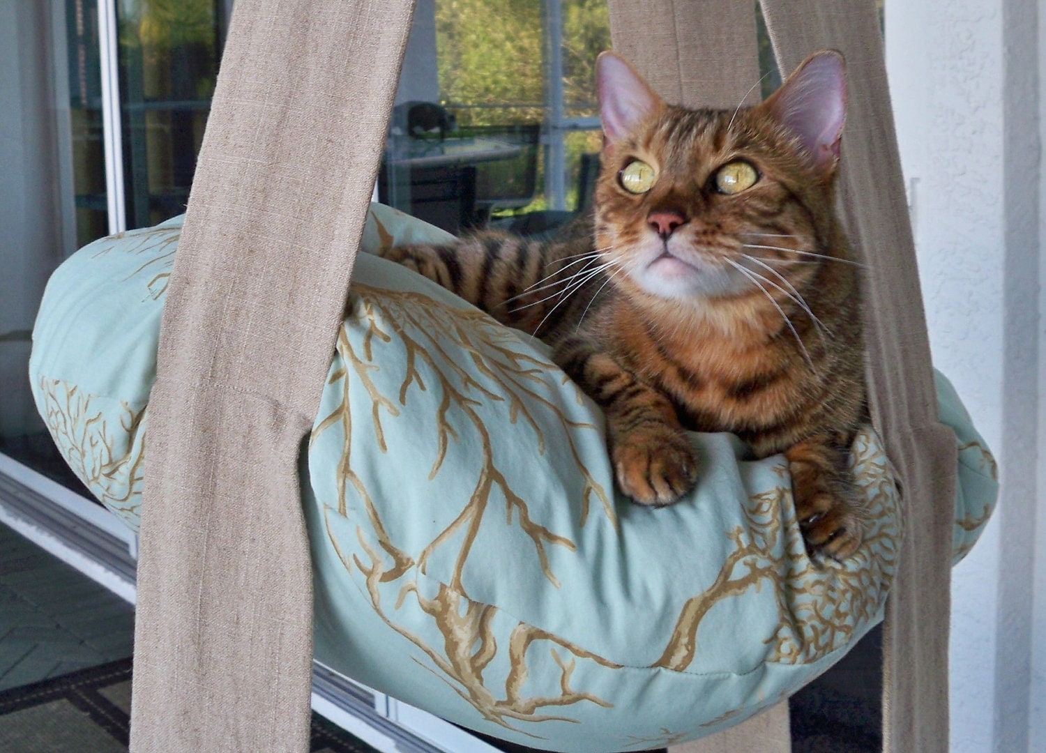 2 Level Hanging Cat Bed Coral Print Kitty Cloud