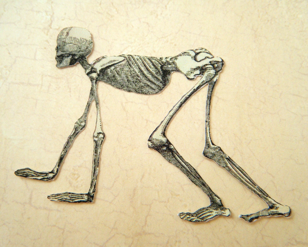 Human Skeleton Crawling Cutout by scrapshooter on Etsy