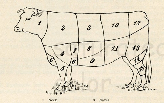 Meat Beef Cuts Butcher Chart 1930s Original Butcher Beef