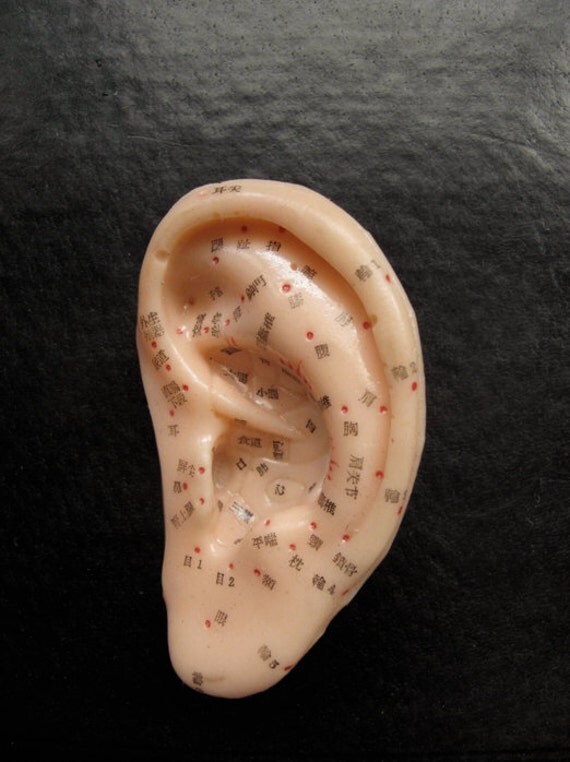 Acupuncture Ear Pressure Point Model
