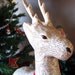 How Do Reindeer Fly