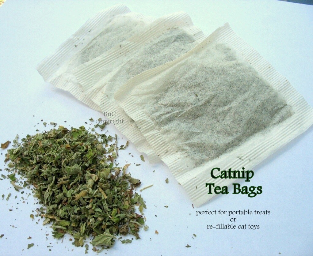 Catnip Tea Bags for cat treats and toys