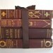 Antique Red Marbled Dark Red Maroon Wine Colored Gilt Books Bundle Classics for Display Home Decor Staging Display