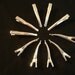 set of 10 silver plated crocodile hair clips grips
