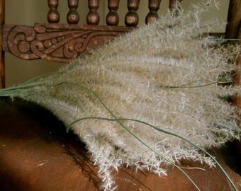 DRIED FLOWERS Grass Bunch of Lovely Dried Plume Grass Floral Decor Prim Farmhouse Shabby chic Wedding flowers country cottage country decor