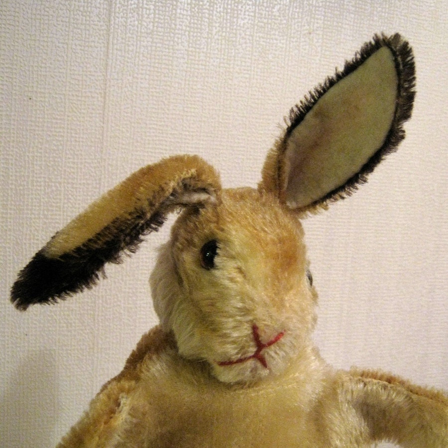 vintage steiff bunny rabbit