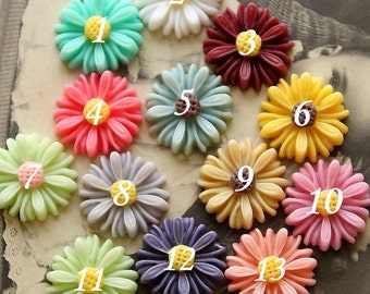20pcs Unique Color Beautiful Colorful Gerbera Flower Resin Cabochon --14mm(CAB-AU )