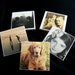Personalized Photo Magnets Set of 6