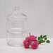 Set of 2 Stackable Clear Glass Round Apothecary Jars Terrariums