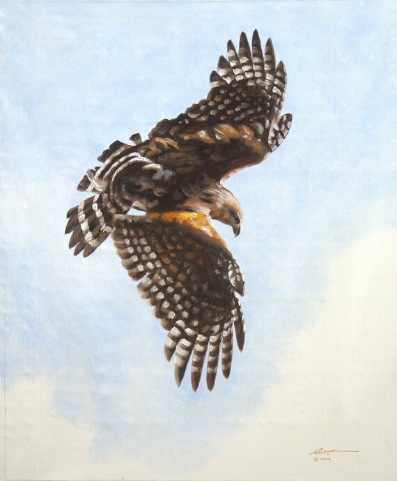 Red Shouldered Hawk wildlife oil painting 24x20 by RUSTY RUST