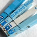 AMAZING TEACHER OWLS hand painted magnetic clothespin set