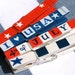 4th of JULY red white and blue hand painted magnetic clothespin set