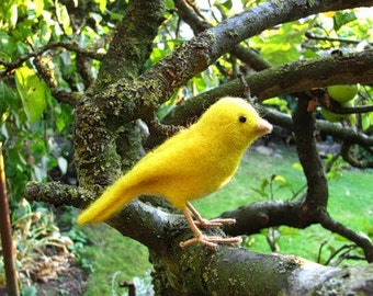 Canary needle felted bird