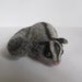 Sugar Glider by HandmadeByNovember on Etsy