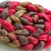 Superwash Merino/Tencel Roving Hand Dyed (ASMT25)