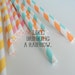 24 Multi Colored Striped Retro Paper Straws with DIY Straw Toppers