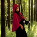 Little Red Riding Hood Cape Steampunk Lolita Tagt Team 123 cc etsy guild tenx tt cccoe sos steam team