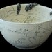 Chart and Bolt Bowl