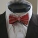 The Gammon - Our cotton bowtie in BACON