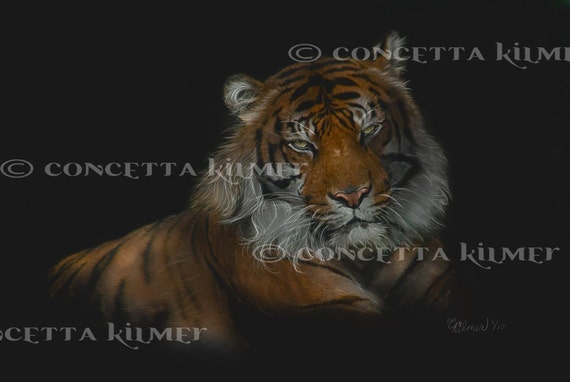 Big Cat Art - Tiger Print - Tiger Wall Decor - Tiger Painting - Animal ...