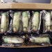 Zombie Finger Shortbread Cookies