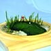 Golf Water Hazard - A Miniature Terrarium Garden - (4" diameter)