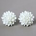 Mum Flower Earrings, Ivory White Resin with Hypoallergenic Titanium Posts/Studs