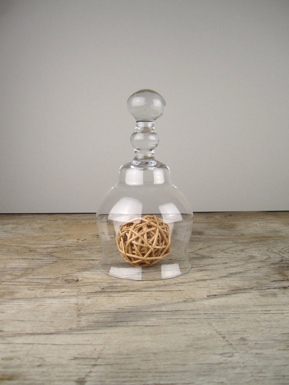 25 salee n d s 2/26Tall Classic Glass Cloche with Knob