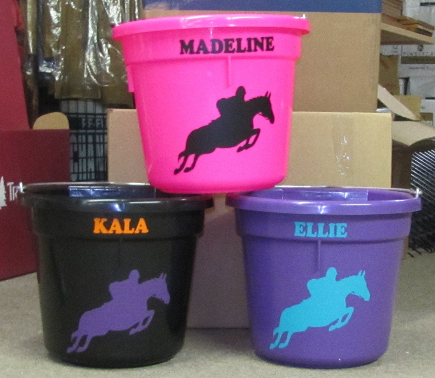 Custom Horse Show Bucket