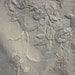 Embroidered Silk Square with silk tasselled edge - scarf or shawl