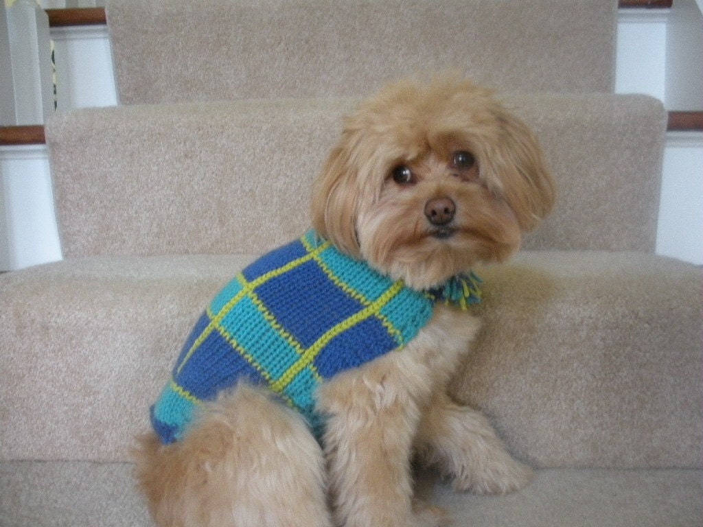 Dog Sweater Coat Fun Plaid Fringe Royal Blue and Aqua