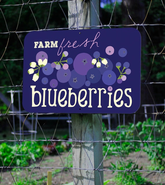 Items similar to Farm Fresh Blueberries Farm Sign 18X12" on Etsy