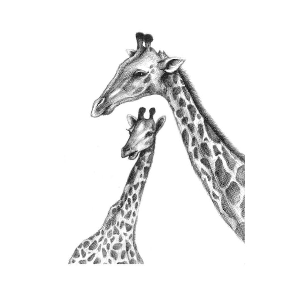 8x10 Print Mother and Baby Giraffe Pencil Illustration