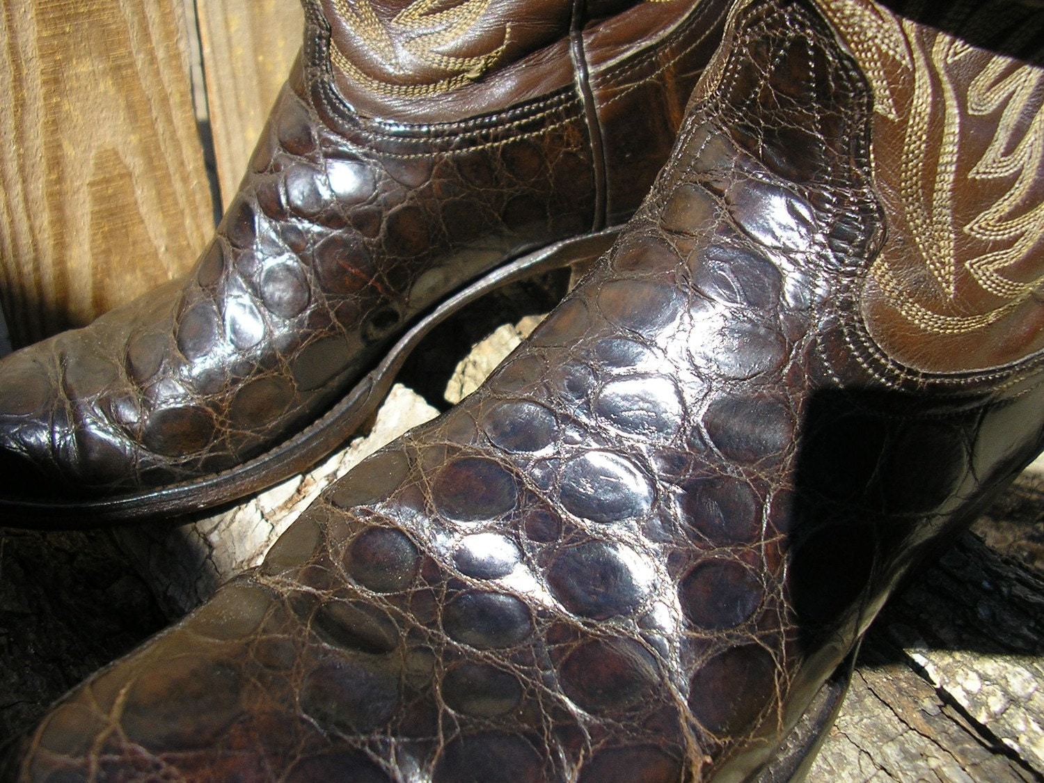 seaturtle boots