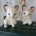Pair of Mid Century Furry Cat Salt and Pepper Shakers - 1950s - TREASURY ITEM