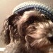 Jess