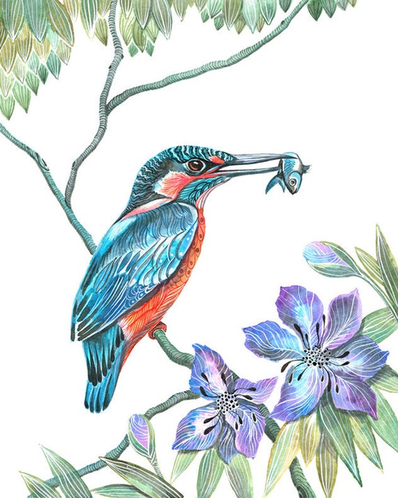 clipart kingfisher bird - photo #16