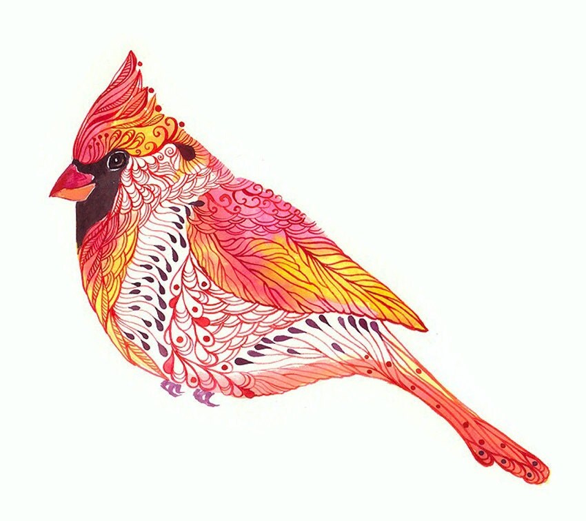 jewel cardinal cardinal bird art print size 10x8 inch no jewel cardinal cardinal bird art print size 10x8 inch no