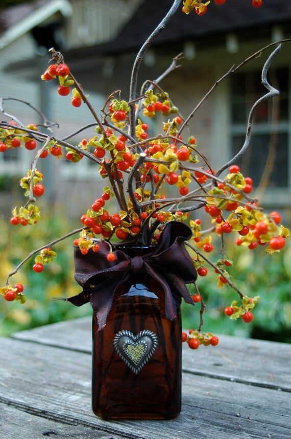 Bittersweet Dried Bittersweet Berries/Vines