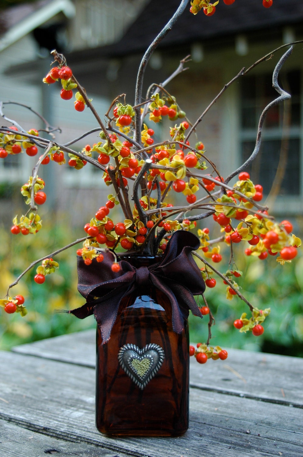 Bittersweet Dried Bittersweet Berries/Vines
