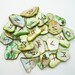 Green Elder Futhark Abalone Shell Runes Runeset Norse