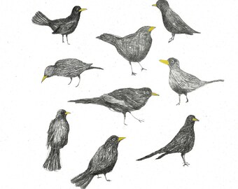 giclee print, Birds