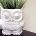 Vintage Retro Decor Custom Ceramic Large Owl Planter Plant Pot , White