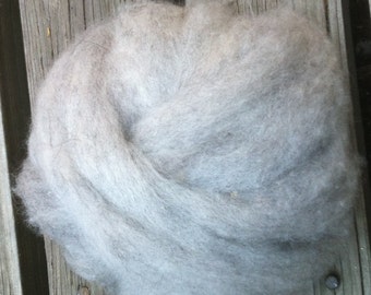 Wool Baby Alpaca Roving Gray Shetland White Alpaca Colorado Animals